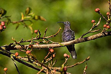 任天堂更换伦敦地铁广告 《银河战士Prime 4》发售日改正为“2025”