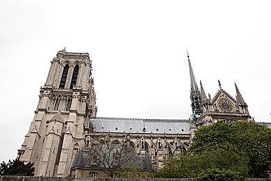 《勇者斗恶龙宝藏》新情报 在线要素团队交流公开